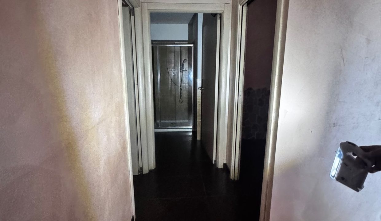 12233208-350e-489a-99bf-c0b17603748b